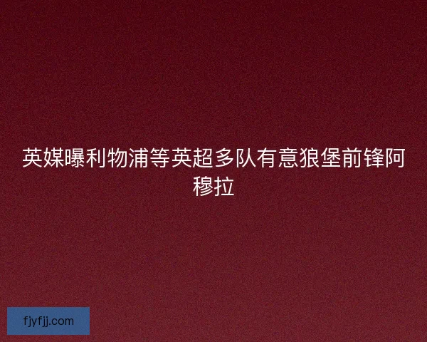 英媒曝利物浦等英超多队有意狼堡前锋阿穆拉