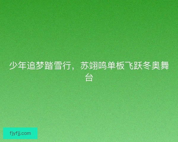 少年追梦踏雪行，苏翊鸣单板飞跃冬奥舞台