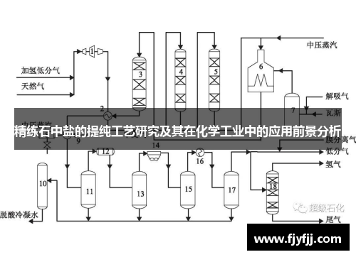精练石中盐的提纯工艺研究及其在化学工业中的应用前景分析